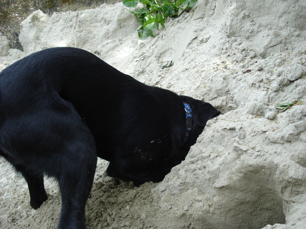 Ik zie ik zie wat jij niet ziet, rara wat is dat?