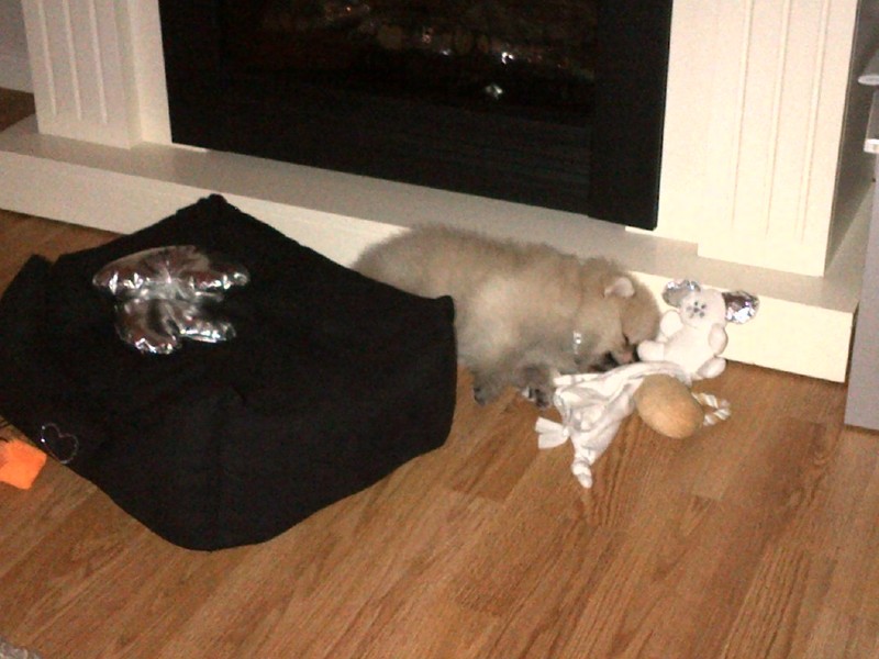 Vooral niet in het zachte mandje slapen...