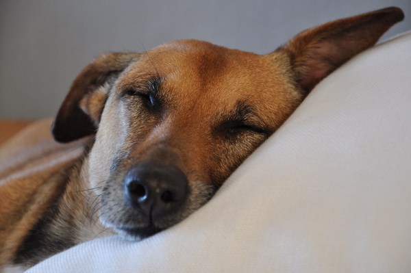 Micha geniet van haar middagdutje