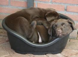 zzzzzzzzzzzzzzzzzzzzzzz