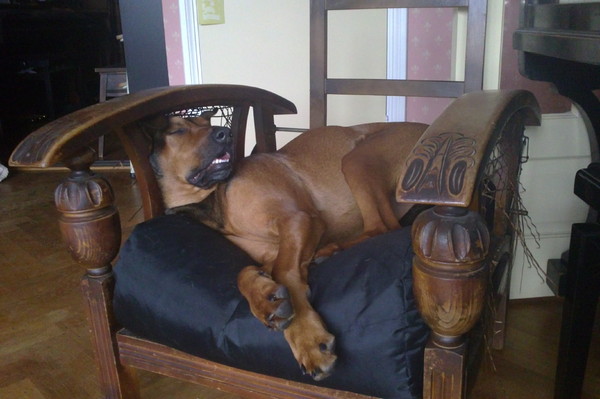 Skippy in haar stoel