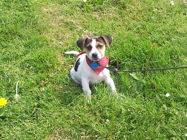 deejay was lekker aan het wandelen