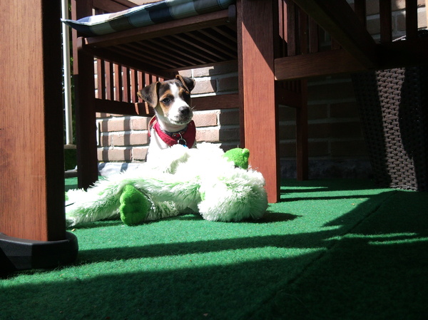 waar kijk deejay na????