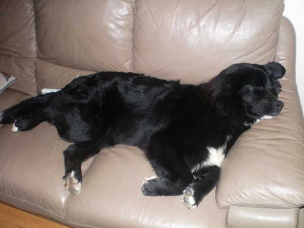 mijn favoriete hobby