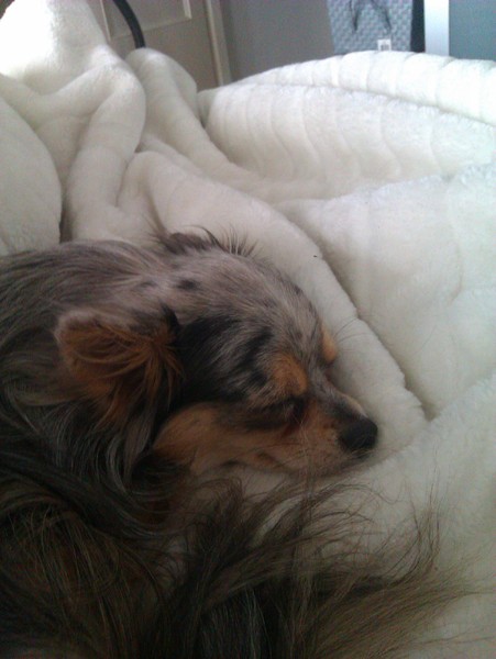 Heerlijk op een kleedje!