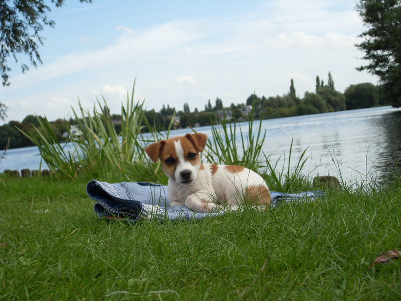 ff uitrusten in het zonnetje
