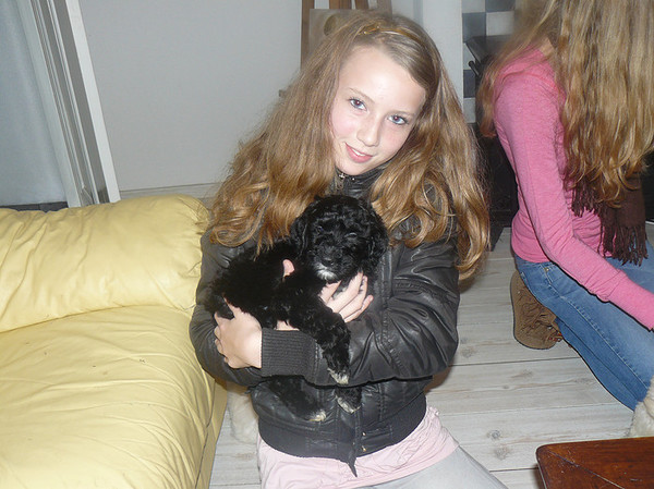 love buddy 