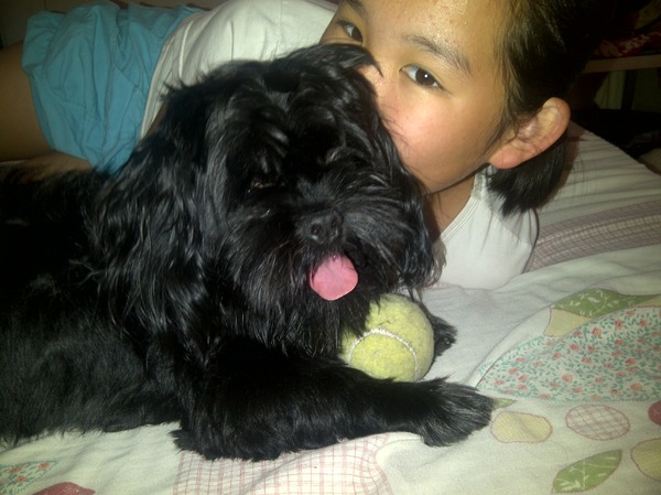 Spike houd van knuffelen