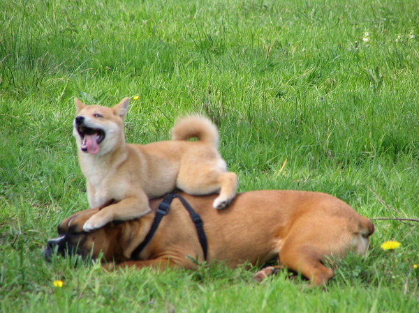 Liefde is... Elkaar Volledig Vertrouwen