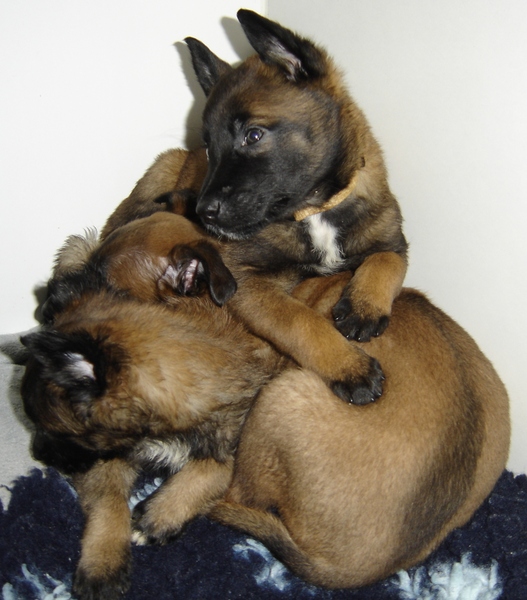 Liefde is......de warmte van je broers en zussen ♥