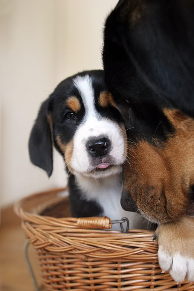 Liefde is... het hebben van een lieve en zorgzame mama