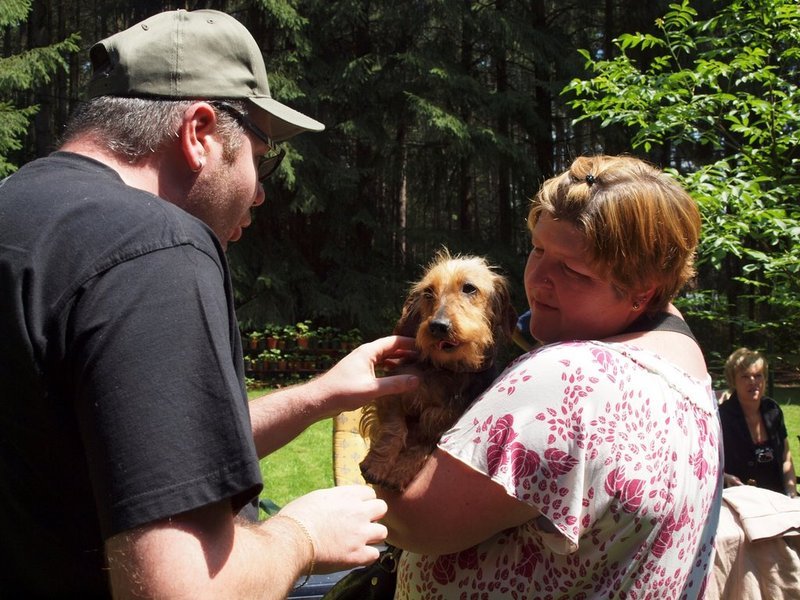 Liefde op het eerst gezicht