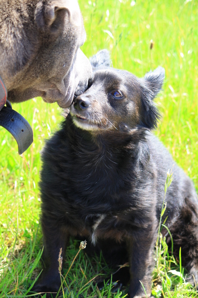 En? Hoe ziet het zo in mijn neus uit ?