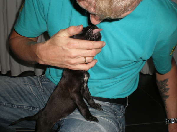Ik vindt je zooooo lief!!!!!