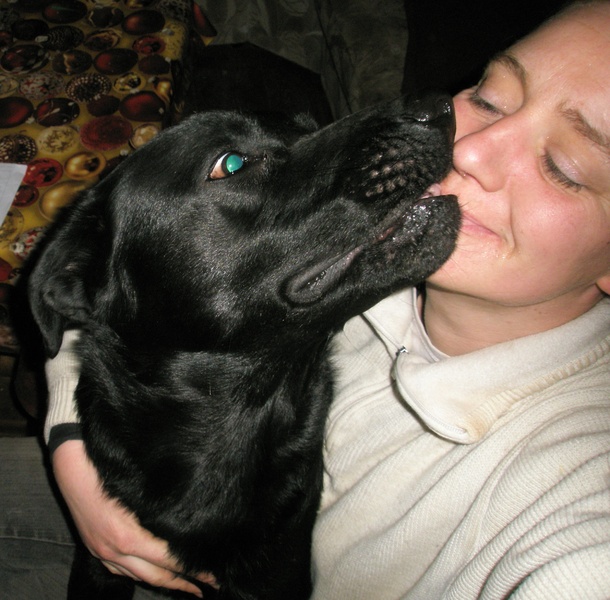 Liefde is...een baasje hebben die onwijs goed voor je zorgt