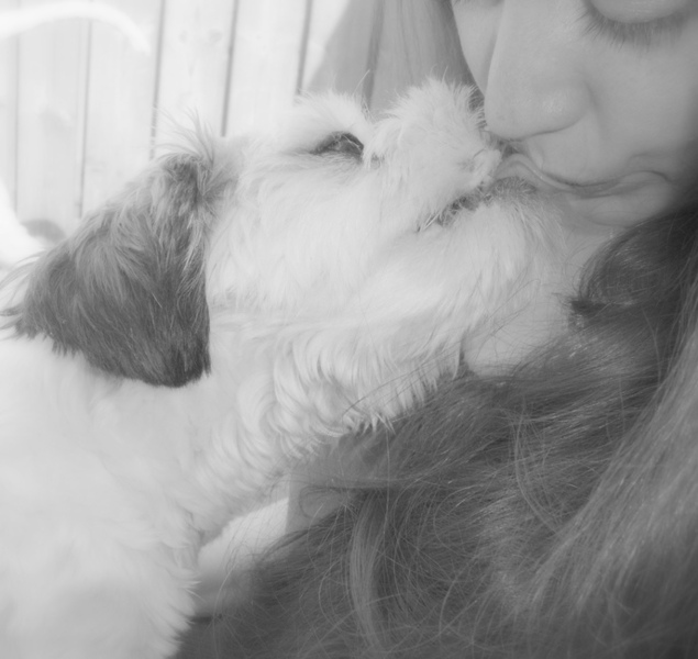 Love is more than words can say..