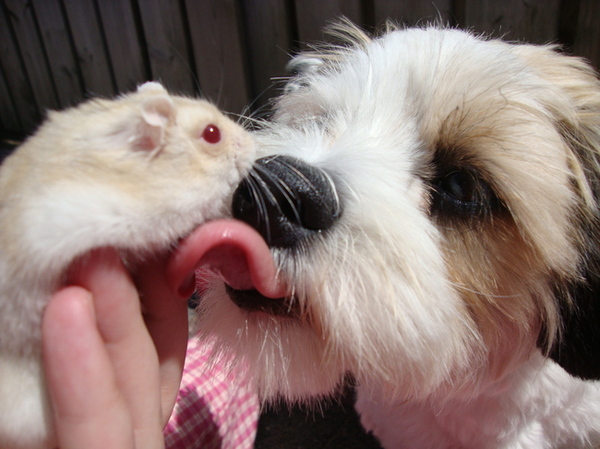 Real Love is Beautiful