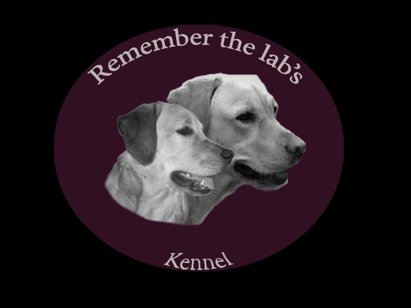Remember the lab's
