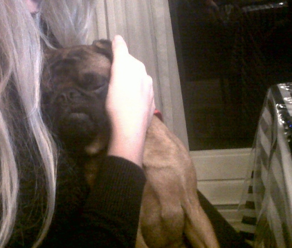 Veilig bij het baasje