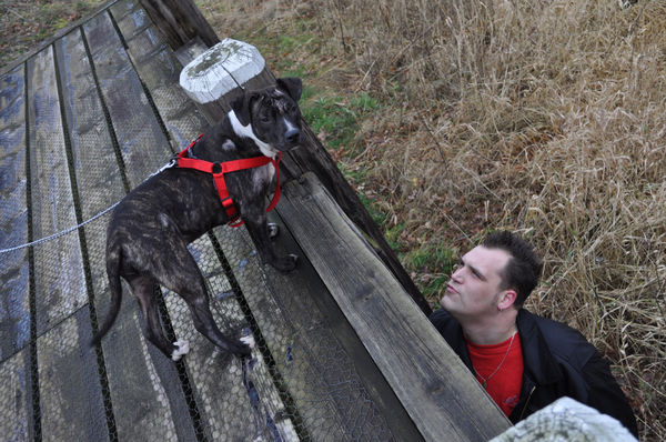 zoekend naar mijn baasje