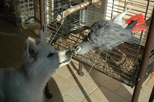 Liefde is even samen knuffelen