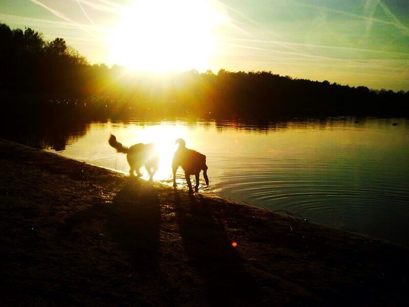 Zonsondergang op het strand