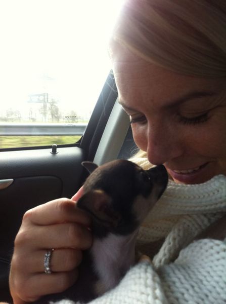 liefde op het eerste gezicht