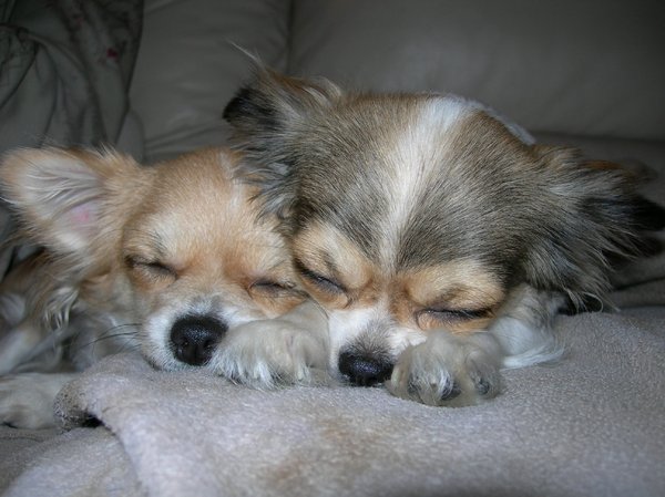 8 liefdevolle pootjes op een buikje