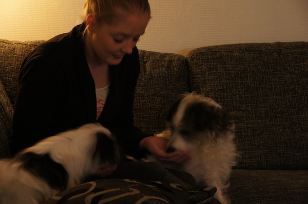 Me zus met me hondjes