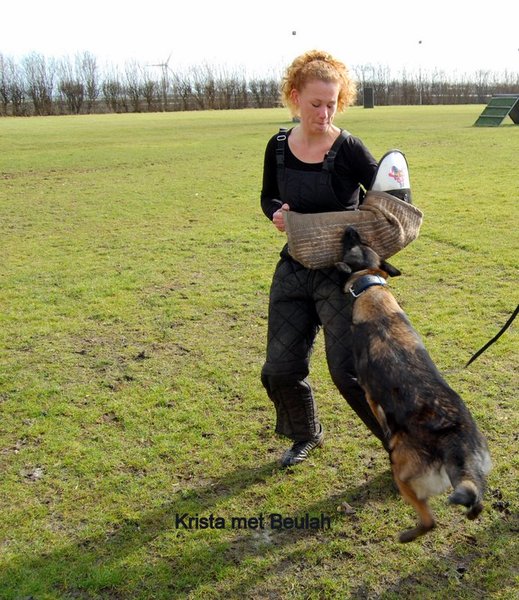 Kennel Van Goeden Huize