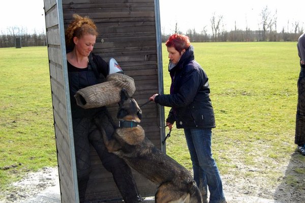 Kennel Van Goeden Huize