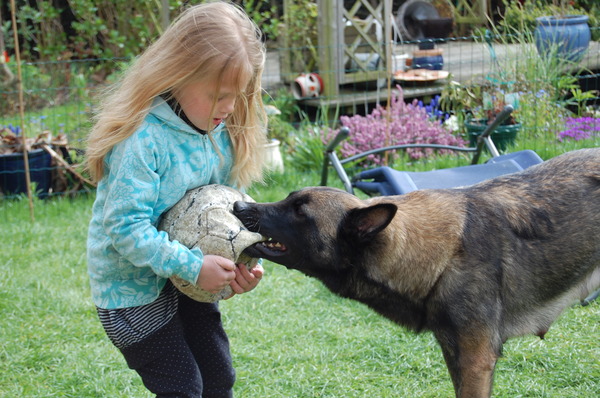 Kennel Van Goeden Huize