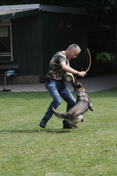 Kennel Van Goeden Huize