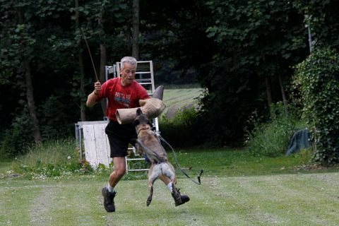 Kennel Van Goeden Huize