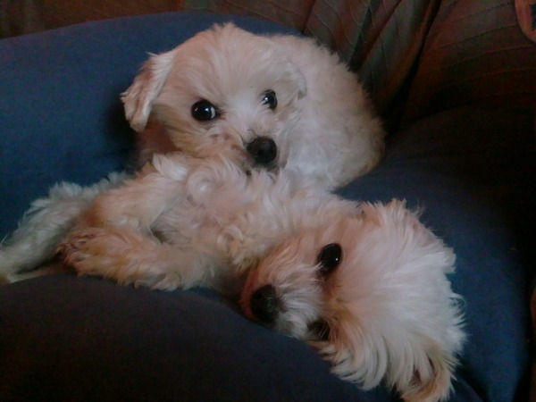 Liefde is samen rusten 