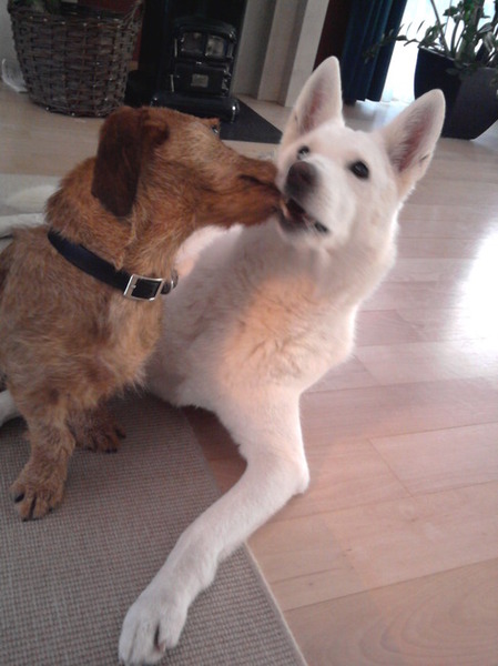 ... laten zien dat je van elkaar houdt.