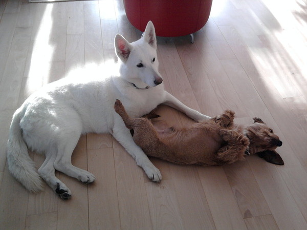 ... altijd open zijn.