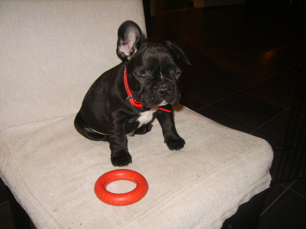 butch net de ogen dicht hahah