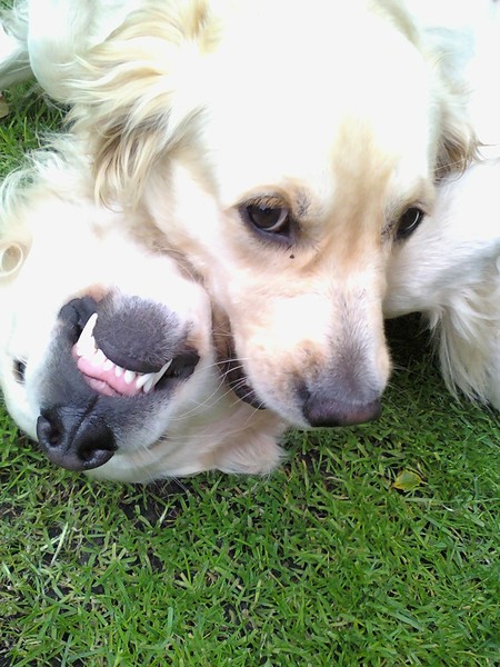 Ramboo & Kyra gekheid!