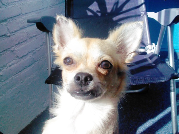 De lelijkste foto van Puk ooit gemaakt:P