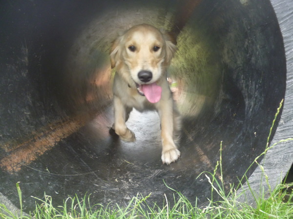 door de tunnen... zoooo das glad!