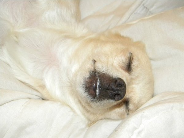 Heb ik mijn tanden wel goed gepoetst? 