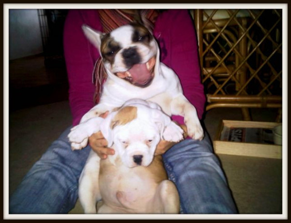 Djago met een gekke bek