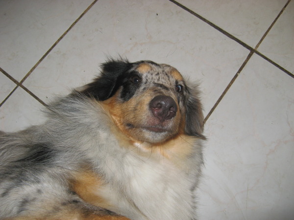 Is het zo gek genoeg?