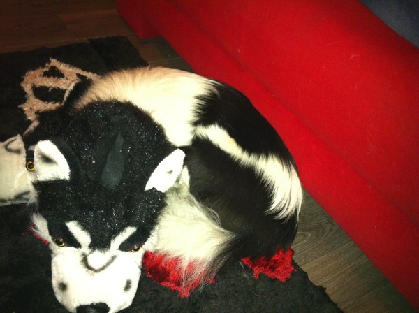 Ik heb het dikke hoofdenvirus opgelopen!!!