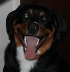 Kijk maar, ik heb geen snoepje gepikt