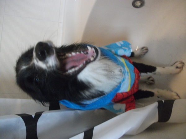 aaaaaaaaaaaaaaaaaaaah