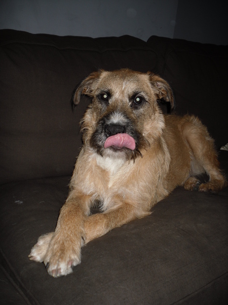 Schattig? Denkt gij jah!