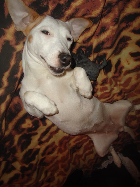 Im sexy and i know it!