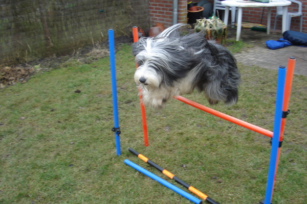 fleurtje aant springen